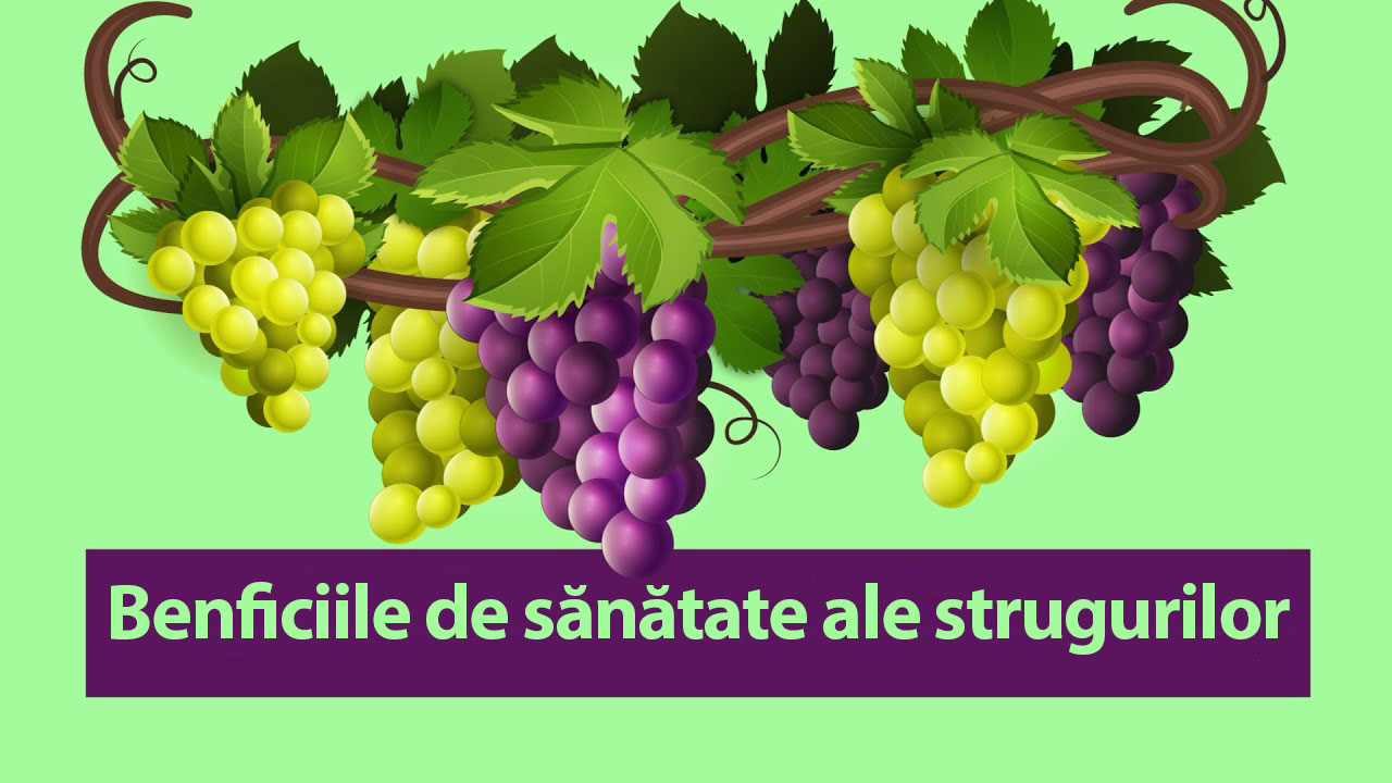 De ce sunt atât de buni strugurii si cum se folosesc? beneficiile-de-sanatate-ale-strugurilor-negrii-resveratrol